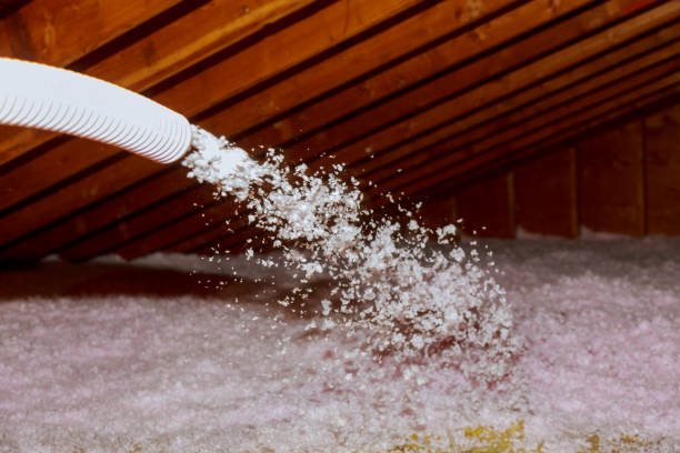 Best Home Insulation Services  in East Mckeesport, PA
