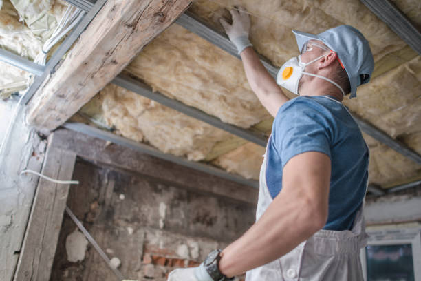 Best Professional Insulation Contractor  in East Mckeesport, PA