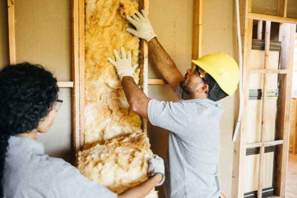 Best Attic Insulation Installation  in East Mckeesport, PA