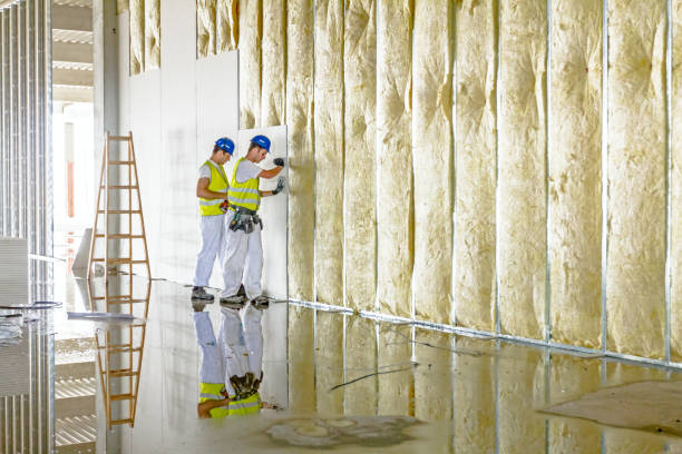 Best Insulation Inspection Services  in East Mckeesport, PA